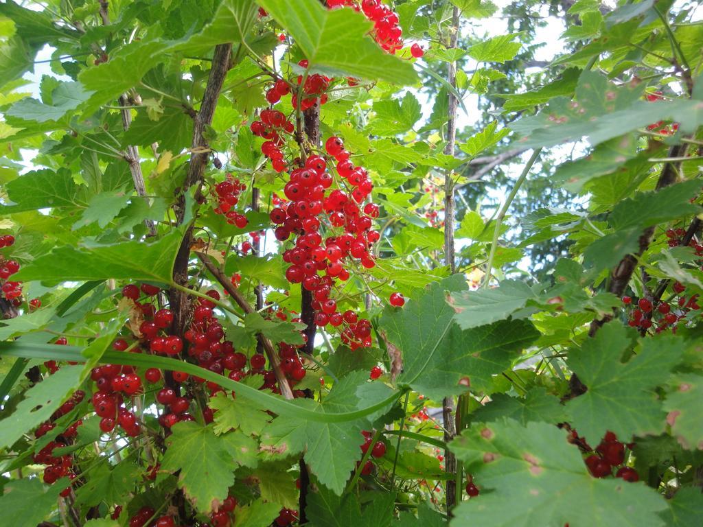 Farm Inn Anima No Sato Абашири Екстериор снимка